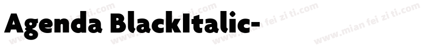 Agenda BlackItalic字体转换